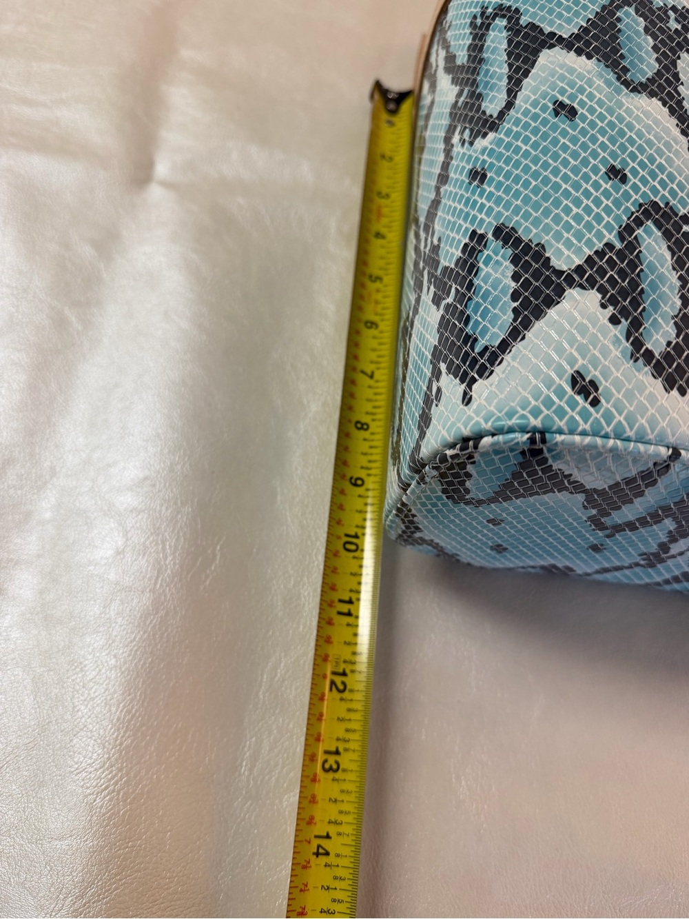 Consuela Turquoise Snake-Print Cosmetic Case with Tan Trim - Picture 8 of 9